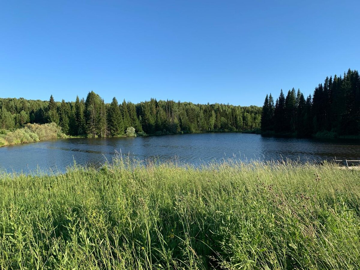 Река Сарабайка, Сверловская область Фото Фалчиян К.Г