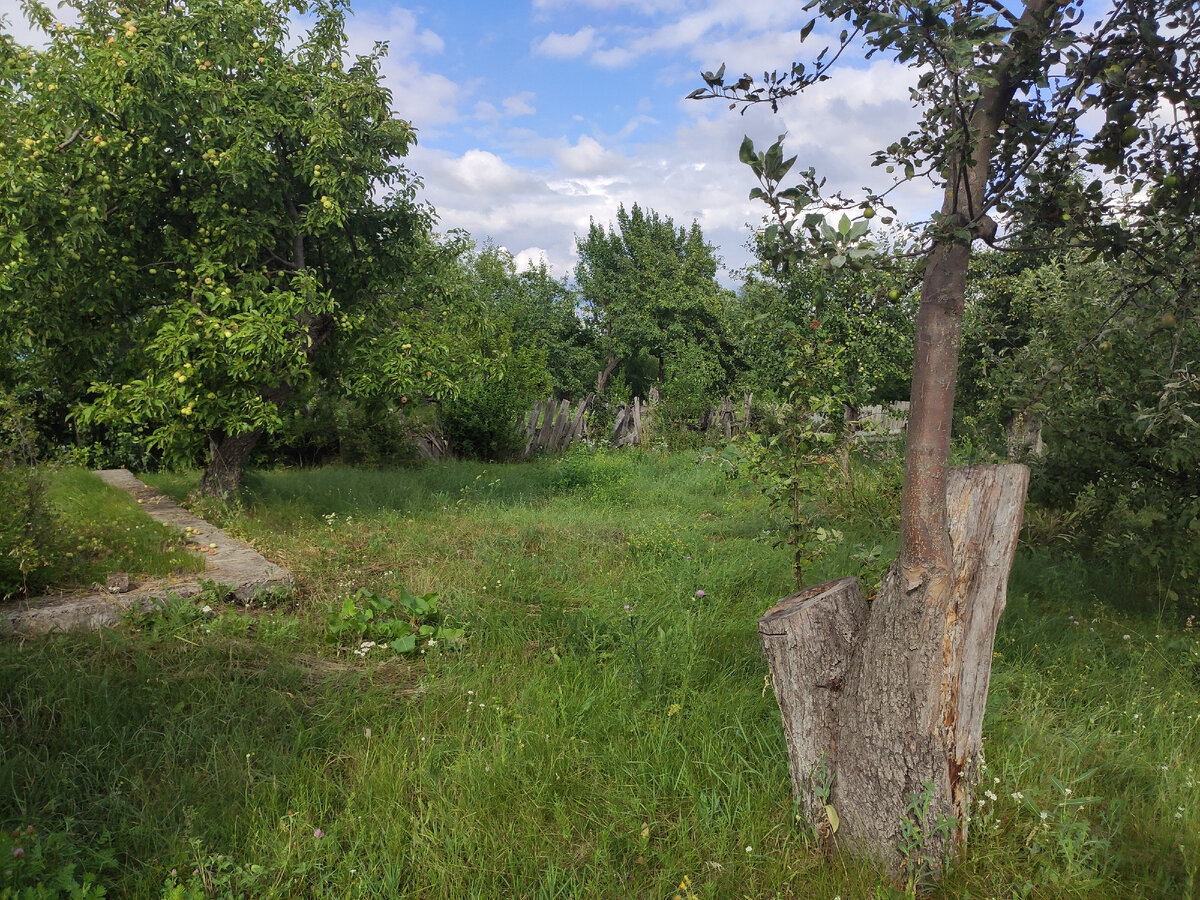 Наш участок 