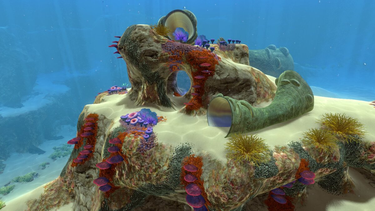 Скрин биома