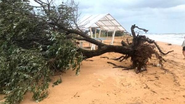 Источник фото: tvzvezda.ru