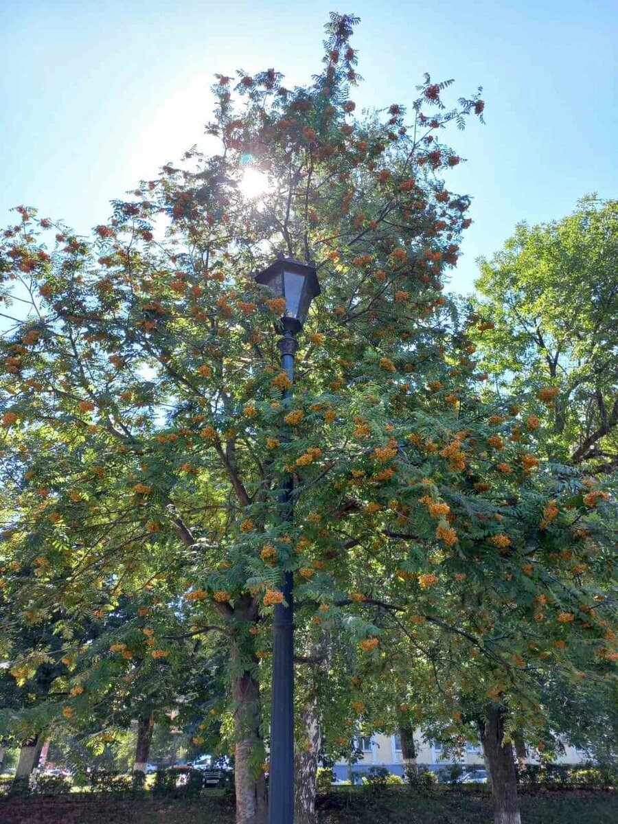 Фото автора.