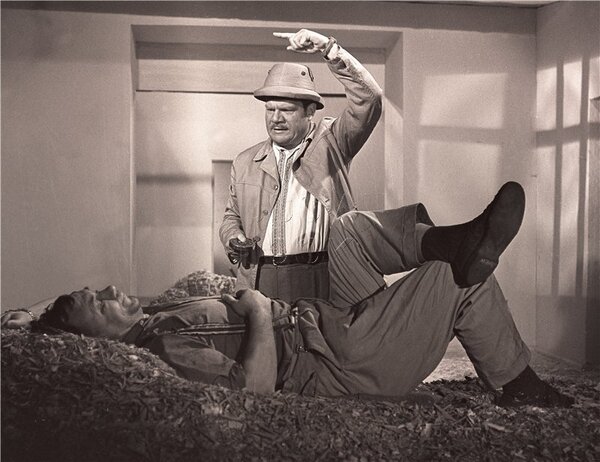 Не секрет, что физическая активность – это польза для здоровья! Но мало кто догадывается, что физическая активность – это не физически активные профессии, а тренировки в свободное время. Более того, физический труд может даже нанести вред вашему здоровью . 