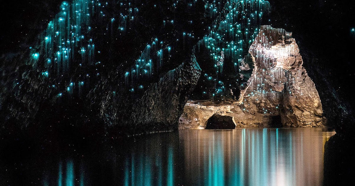 Waitomo caves. Пещеры Вайтомо новая Зеландия. Пещеры светлячков Вайтомо. Светящиеся пещеры Вайтомо новая Зеландия. Пещера светлячков новая Зеландия.