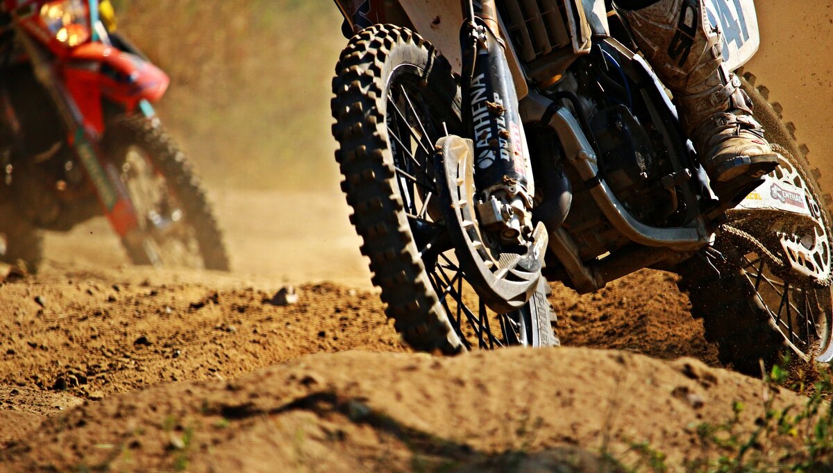 Фото: pixabay.com