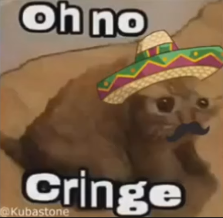  мексиканский кота с усами и в самбреро