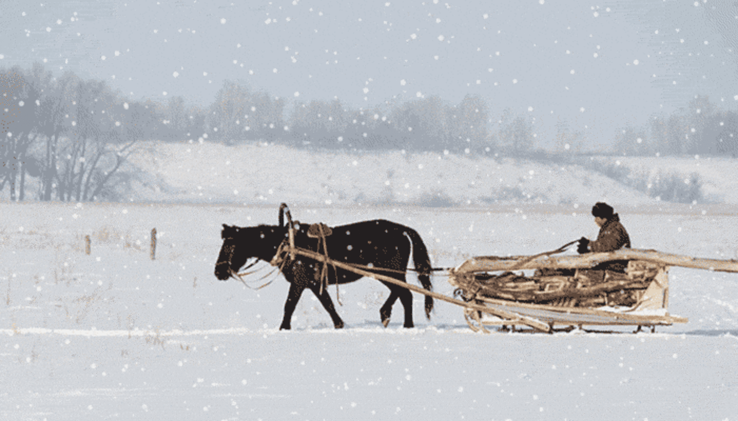 Невдалеке стояла телега. Лошадь с санями зимой. Повозка с лошадью зимой. Крестьянин на санях. Дровни крестьянские сани.