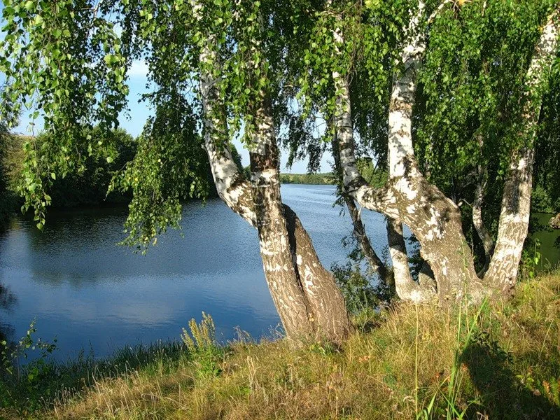 Фото из источника fotokto.ru