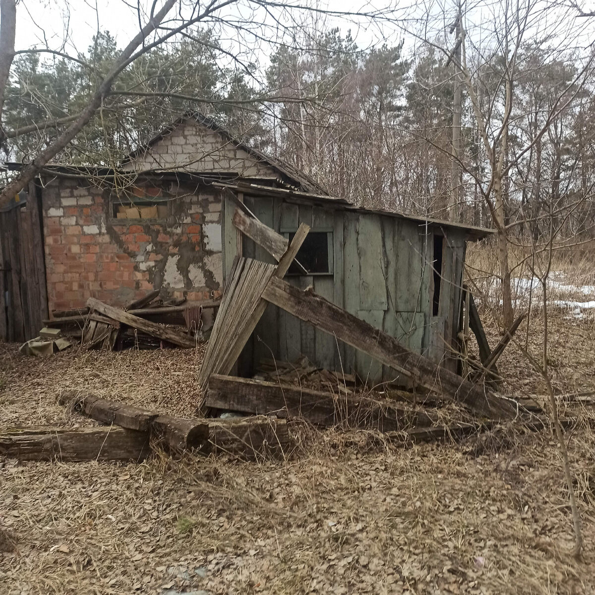 О чём привыкли врать женщины, в начале любых отношений. Как это можно  понять мужчине и как этим воспользоваться в своих целях | ПАПА АНДРЕЙ | Дзен