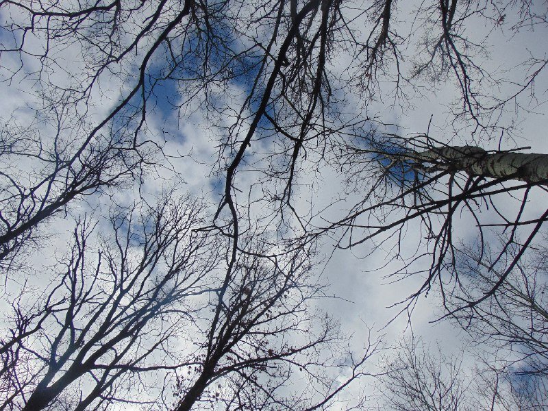 Фото автора канала