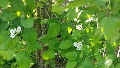 Постановление правительства. (постановление правительства рф 2463 от 31 декабря 2020). 05. Постановление администрации города челябинска от 25. 4.