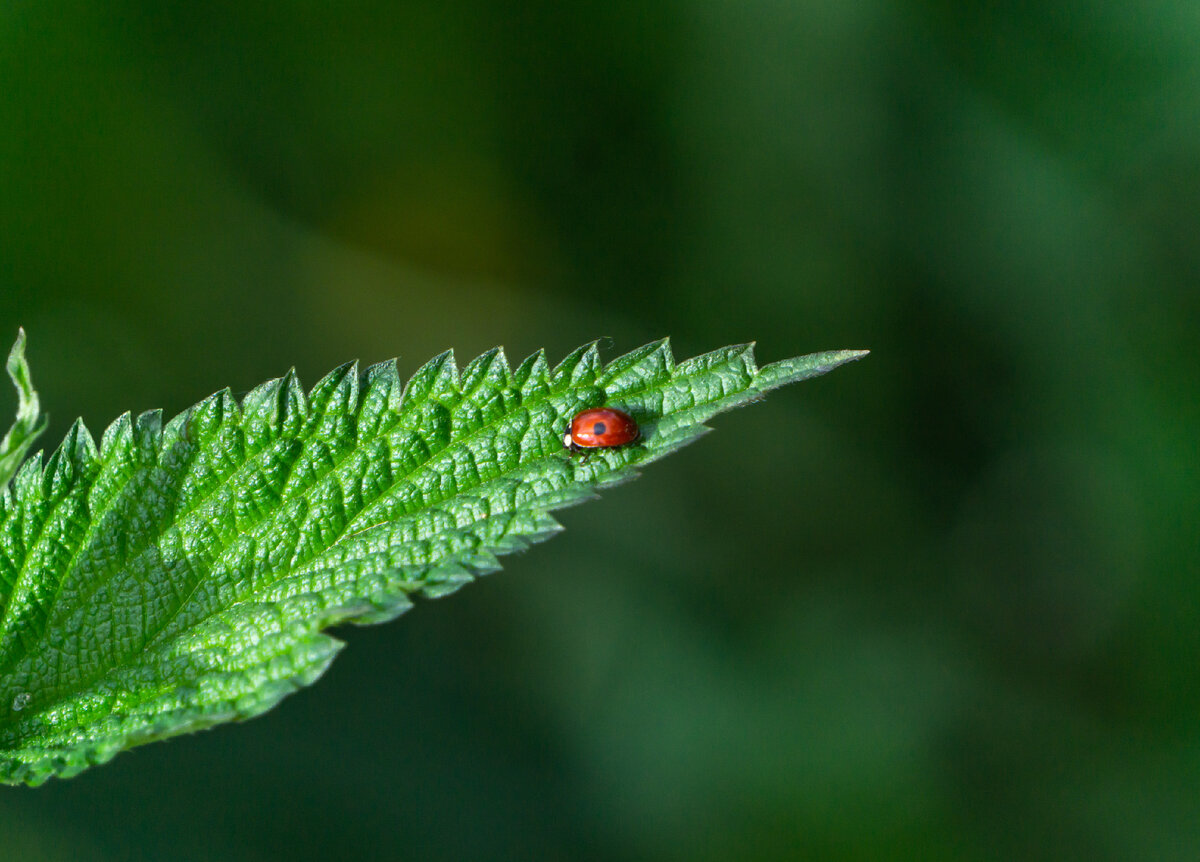 все фото в статье из семейного архива