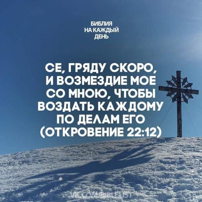 Картинка из открытых источников.