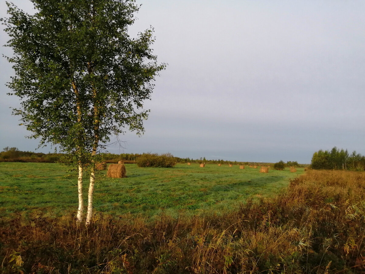 Пейзаж с охоты... Ведь не только стрелять мы ездим, любоваться природой и наслаждаться красотой родной стороны тоже надо.