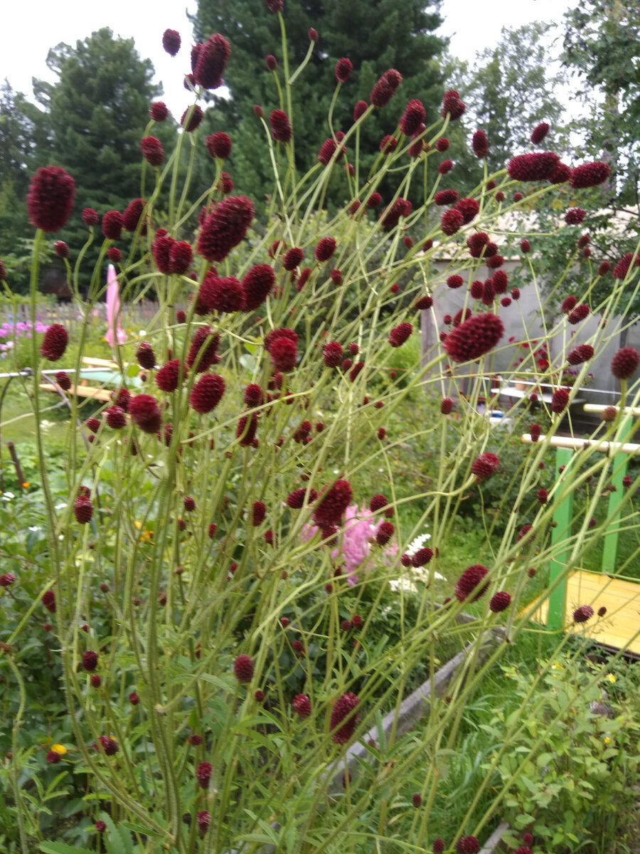 Фото автора. Просто иллюстрация, по-моему, грустная