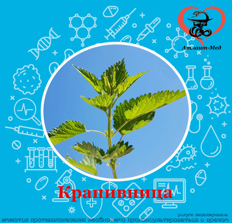 Крапивница: причины, виды, симптомы, лечение. | Медицинский центр ...