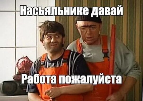 Равшан и джамшут картина на телевизоре
