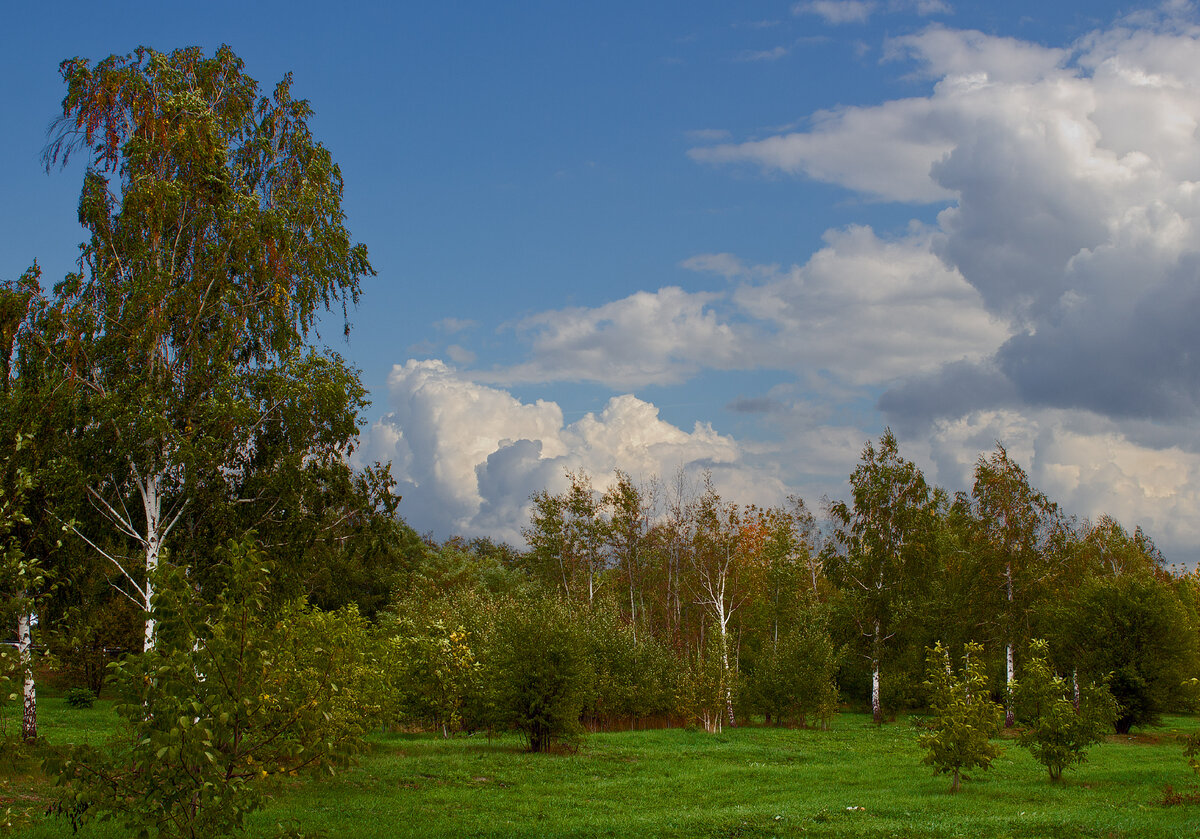 Мирное наступление Осени. Берег Кубани, 3-е октября.