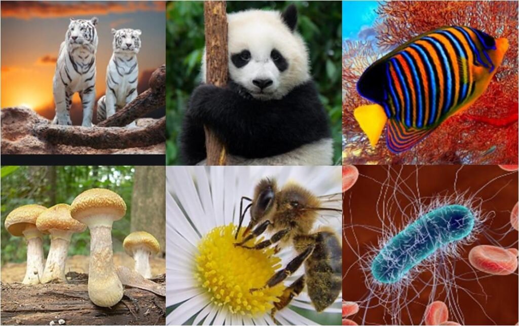 Биологические системы