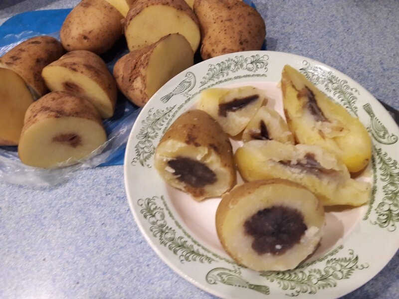 Та, что в тарелке вареная, сзади сырая, из пяти, что на первом фото, две гнилые.