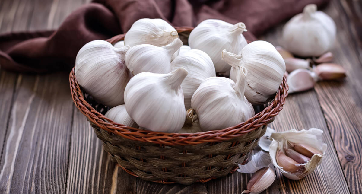 чеснок