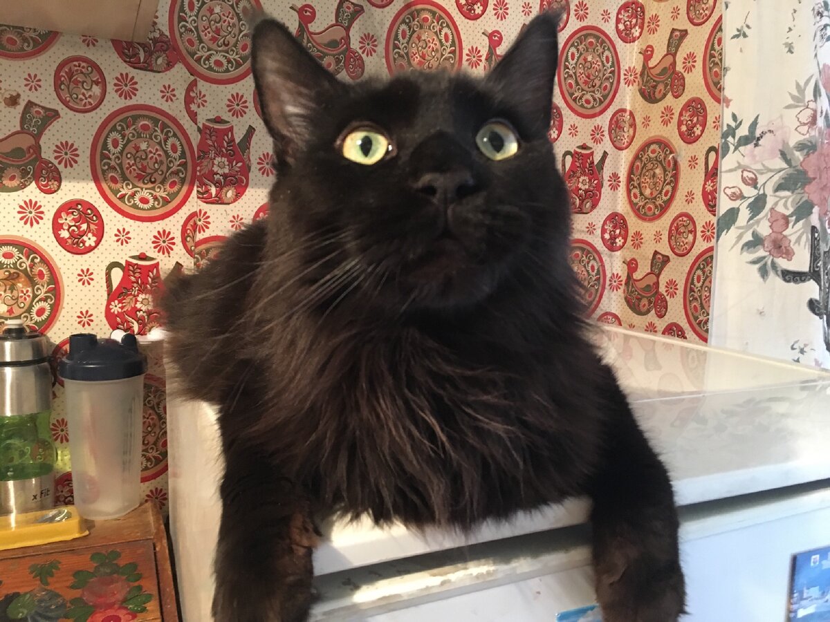 Документы в полном порядке 