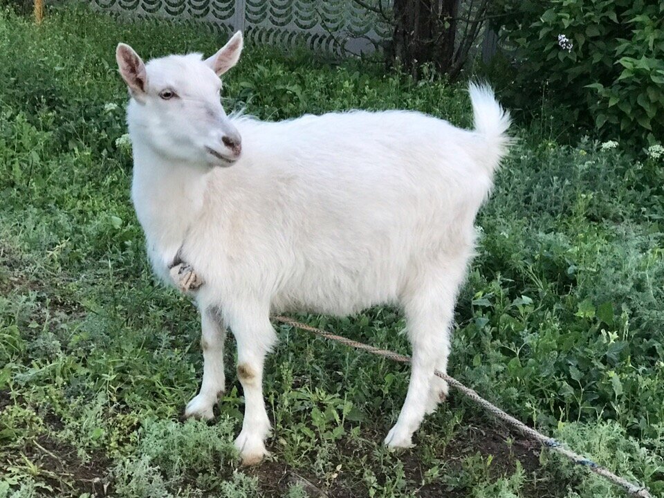 фото из архива автора.