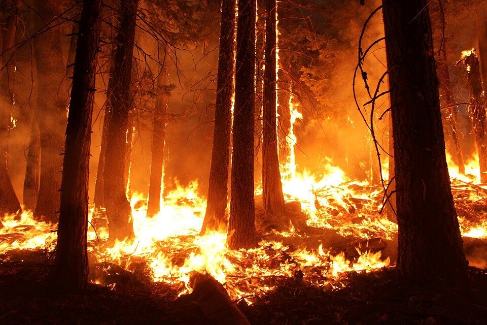 https://cdn.pixabay.com/photo/2015/12/23/06/23/wildfire-1105209_960_720.jpg