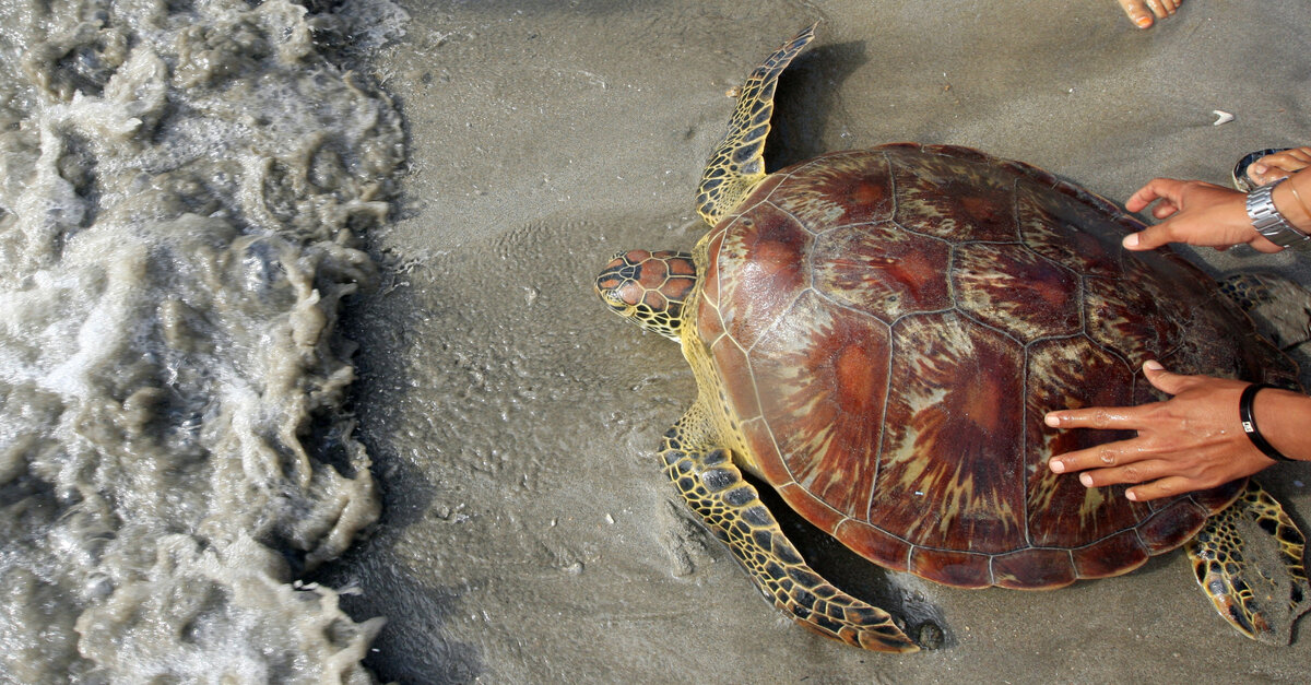совместите приятное с полезным!