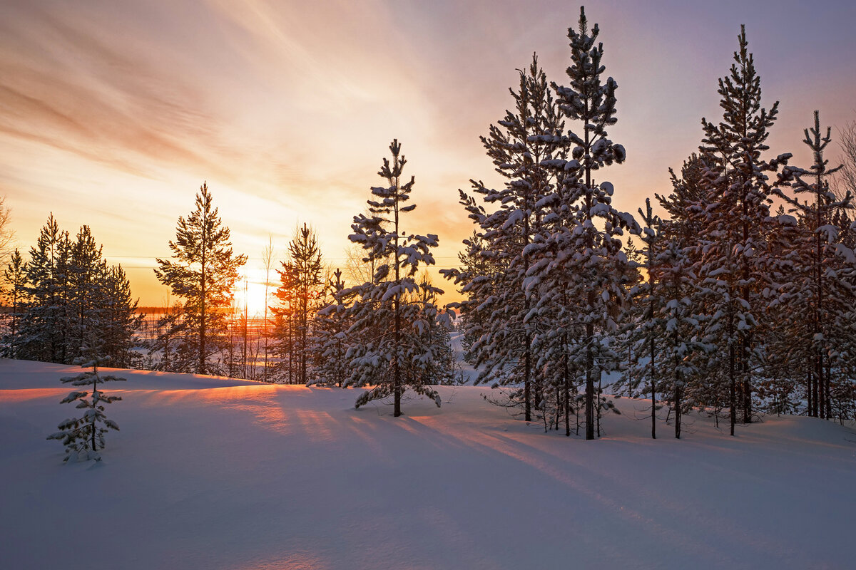 зимний пейзаж. северные леса. тундра зимой. таганай национальный парк зимой. зимний северный лес.