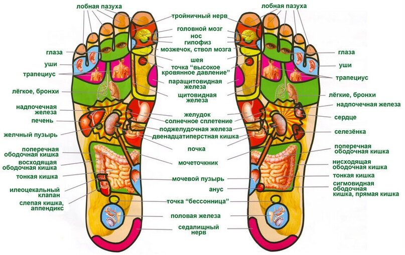                  «Истощение дерева начинается с корня, старение человека — с его ног». 