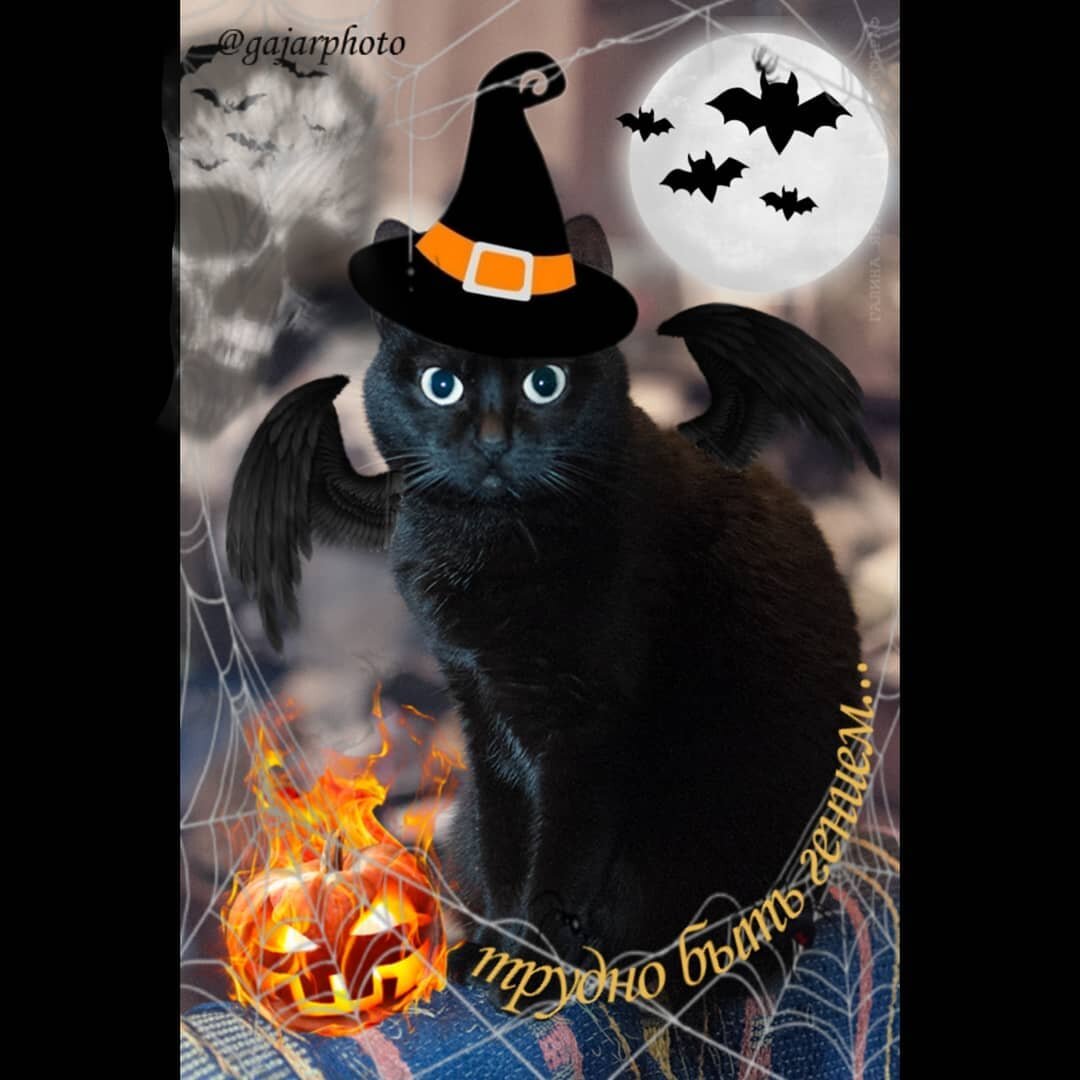 фото @gajarphoto