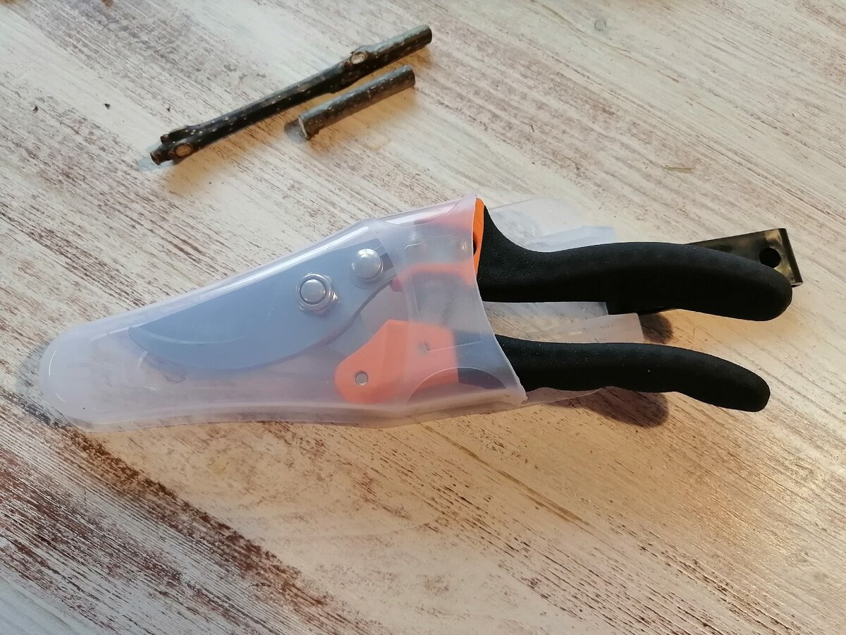 Фото автора, 19-11-2019