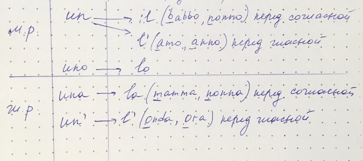 формы определенного артикля