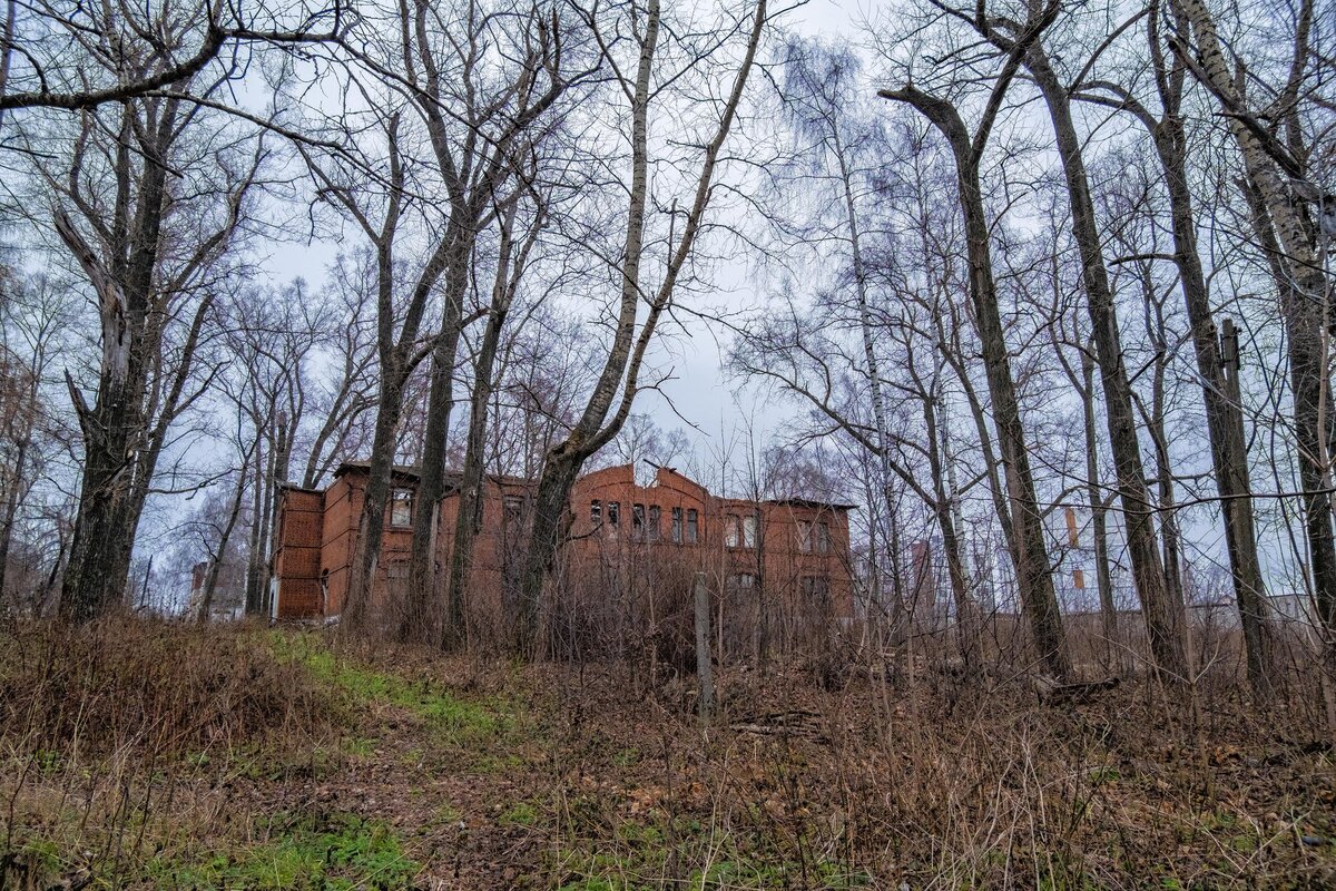 Нижегородская областная психоневрологическая больница №1 | Блог заметок и  фотографий | Дзен