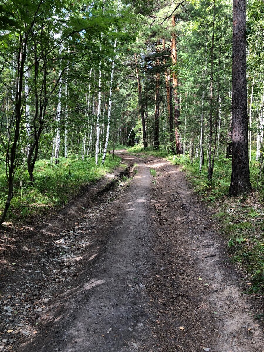 По дороге в офис