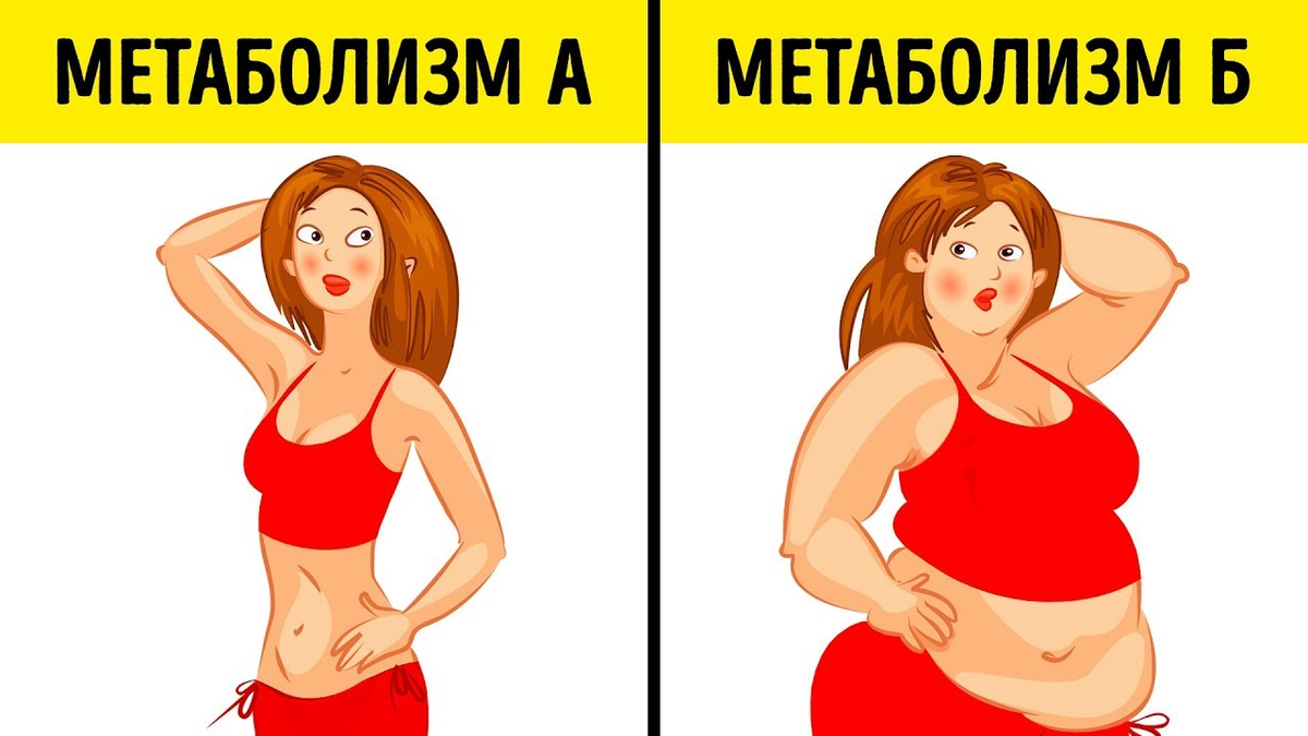 Что такое метаболическое похудение у женщин. Метаболическое похудение. Как похудеть картины. Метаболическое похудение в чем смысл. Диета метаболизм ведьма