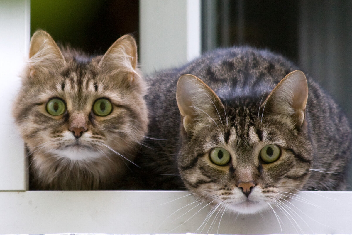 Фото из интернета 