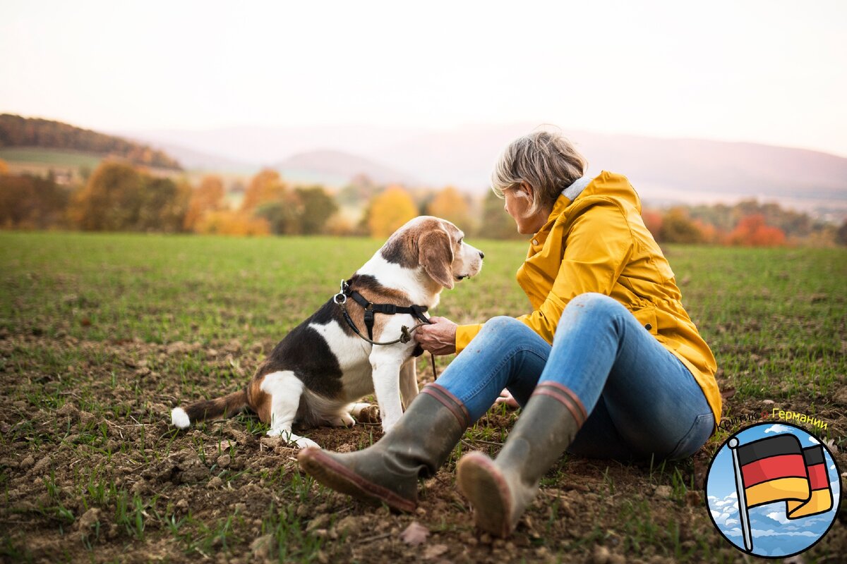 Человек и собака , дружба с животными