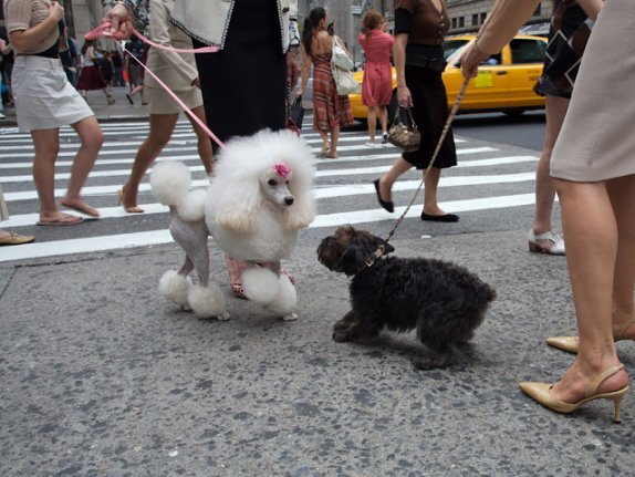 Источник фото: kinopoisk.ru