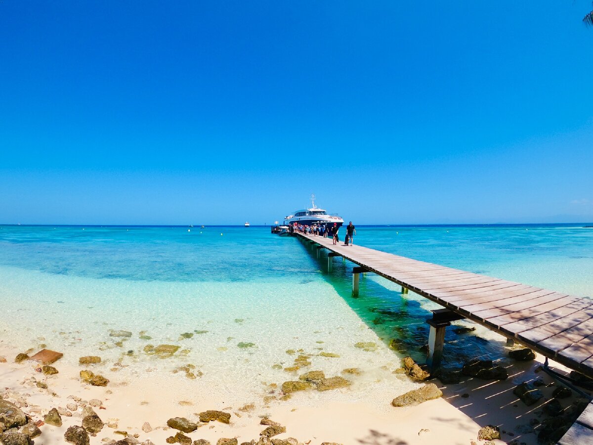 Amazing Amedee Island 