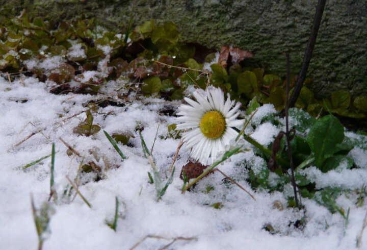 Сегодня, 15:51