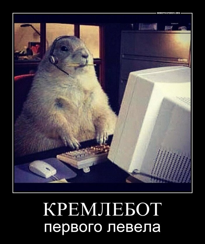 Картинка из поиска Яндекса