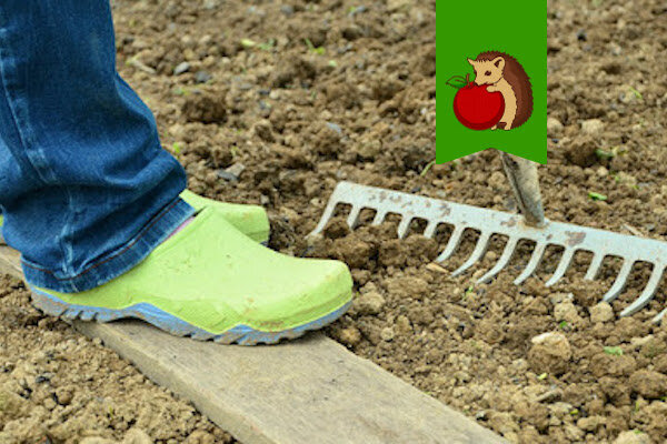 Как не тащить дачную грязь с огорода в дом: 3 достойных варианта решения проблемы?