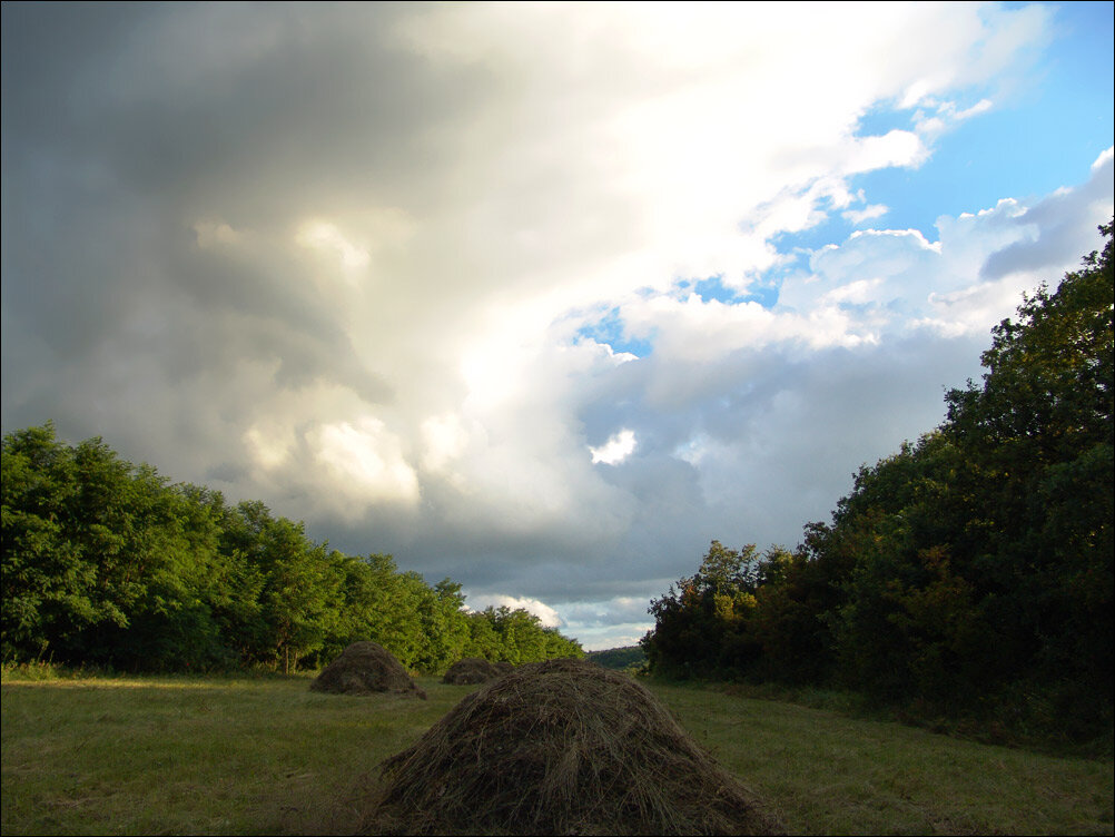 Сено в Липовой балке.