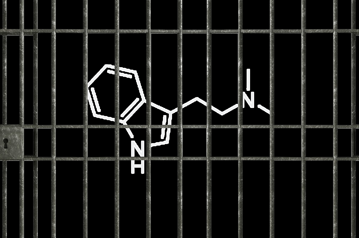 DMT – молекула, вырабатываемая вашим организмом, за которую могут посадить