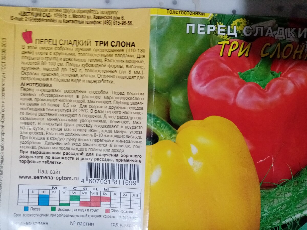 Высевая из года в год, никогда сорт меня не подводил