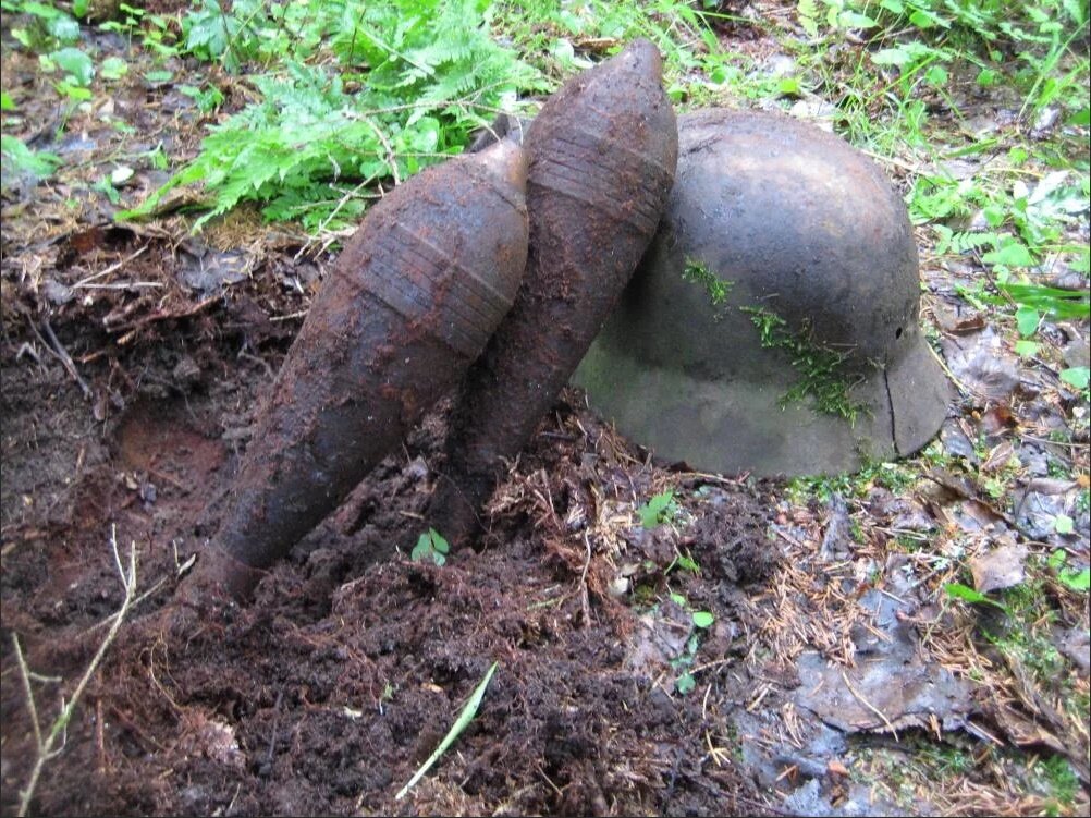 Находки поискового отряда