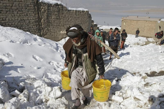 Местные жители