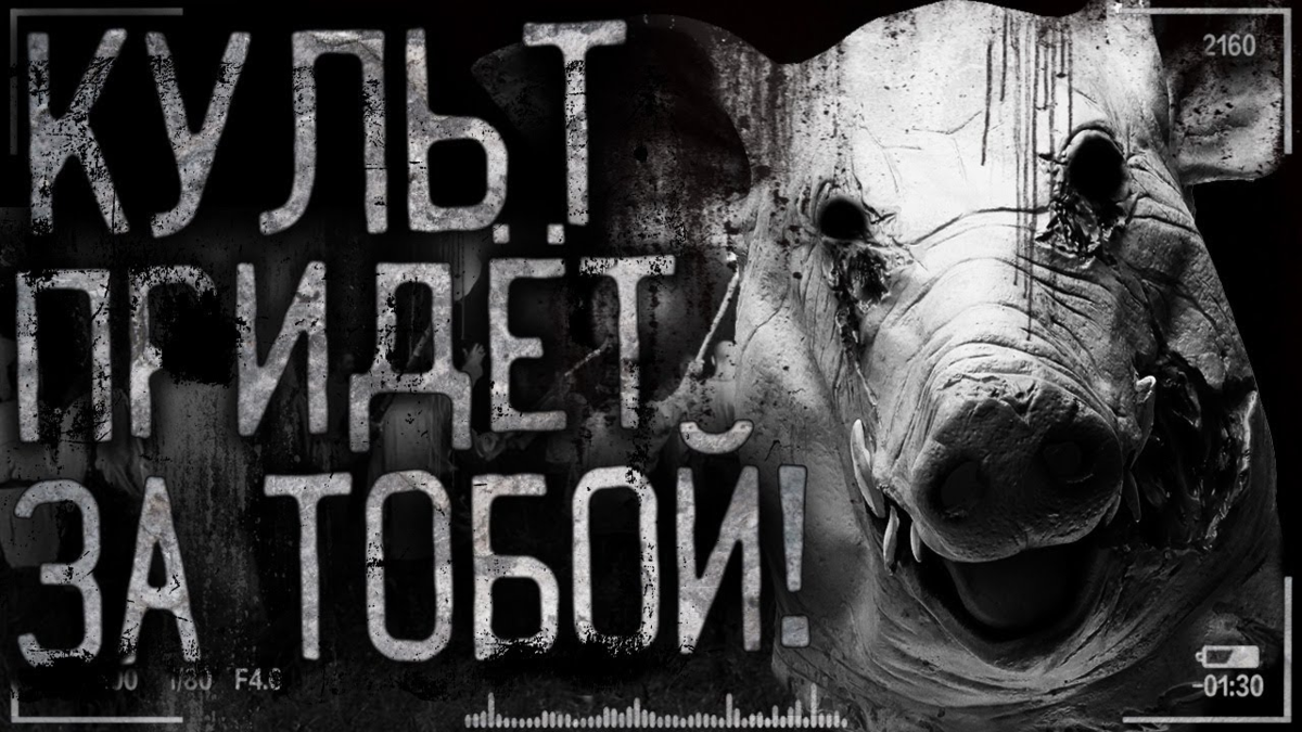 Истории на ночь кот. Страшилки ворлд бегемот кот. кот бегемот страшные истории. worldbegemotkot † страшные истории †.