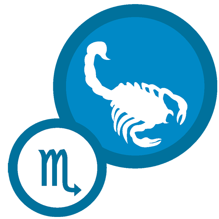 из интернета 